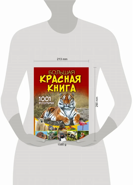 Большая красная книга. 1001 фотография