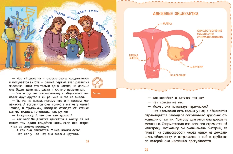 Откуда берутся дети. Детская энциклопедия (Чевостик)