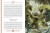 Мифы и легенды Древней Греции (ил. Д. Корси)