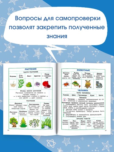 Полный курс начальной школы. Русский язык, математика, окружающий мир