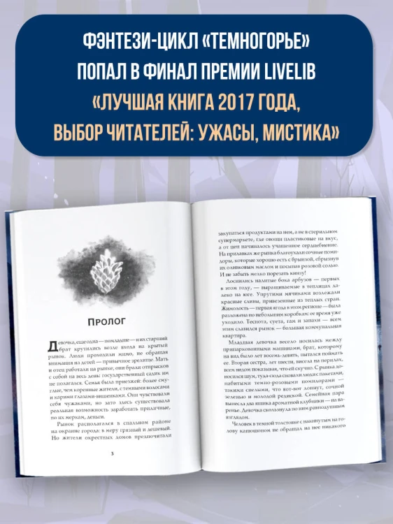 Темногорье. Пропавшая дверь