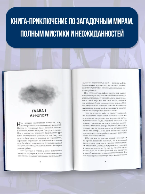 Темногорье. Пропавшая дверь