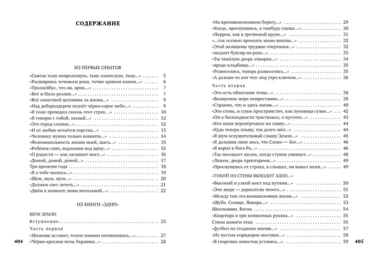 Видение. Избранное