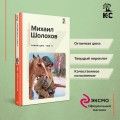 Комплект из 2-х книг: Двухтомник "Тихий Дон"