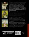 Иероним Босх. Жизнь и творчество