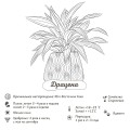 Раскраска-трекер. Растущие в темноте