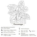 Раскраска-трекер. Растущие в темноте