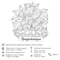 Раскраска-трекер. Растущие в темноте