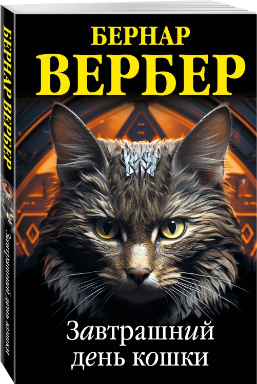 Завтрашний день кошки