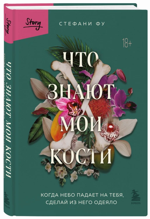 Что знают мои кости. Когда небо падает на тебя, сделай из него одеяло