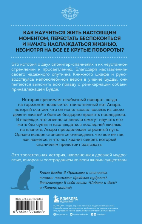 Кошка, у которой осталась одна жизнь