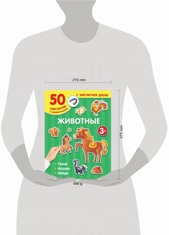 Животные