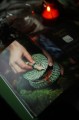 Живые вещи. Книга о создании простых красивых вещей из природных материалов