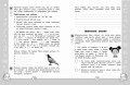 Русский язык. Функциональная грамотность. 3 класс