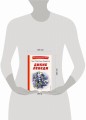 Дикие лебеди (ил. Н. Гольц)