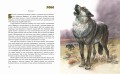 Рассказы о животных (ил. В. Канивца)
