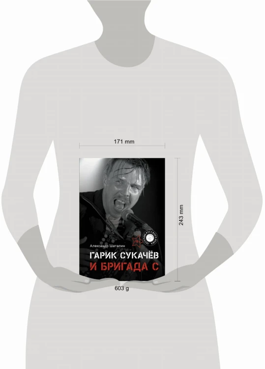 Гарик Сукачёв и Бригада С