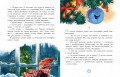 Приключения новогодних игрушек