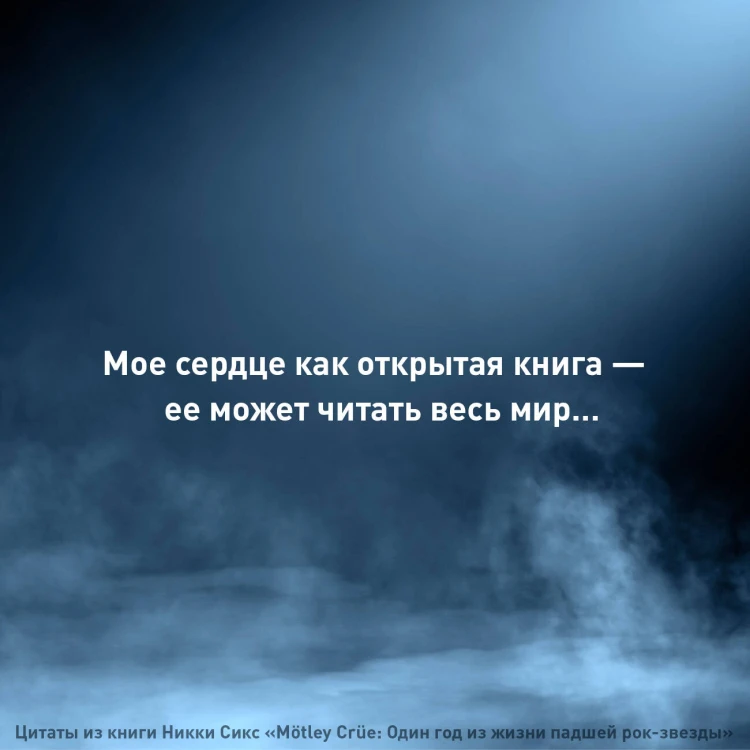 Mötley Crüe: Один год из жизни падшей рок-звезды