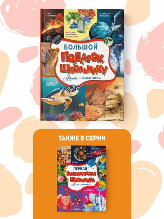 Большой подарок школьнику