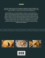 Татарская кухня