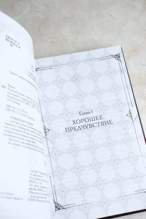 Поднятие уровня в одиночку. Solo Leveling. Книга 2