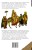 Возвращение в Египет