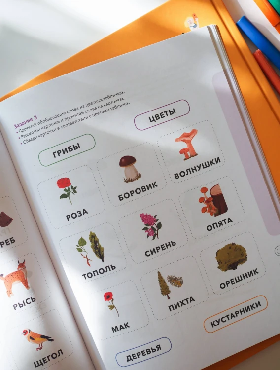 Логика. Учимся анализировать, сравнивать и обобщать. 5-6 лет