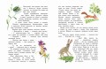 Четыре желания. Рассказы и сказки (ил. С. Ярового)