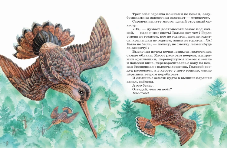 Рассказы и сказки о животных (с ил.)
