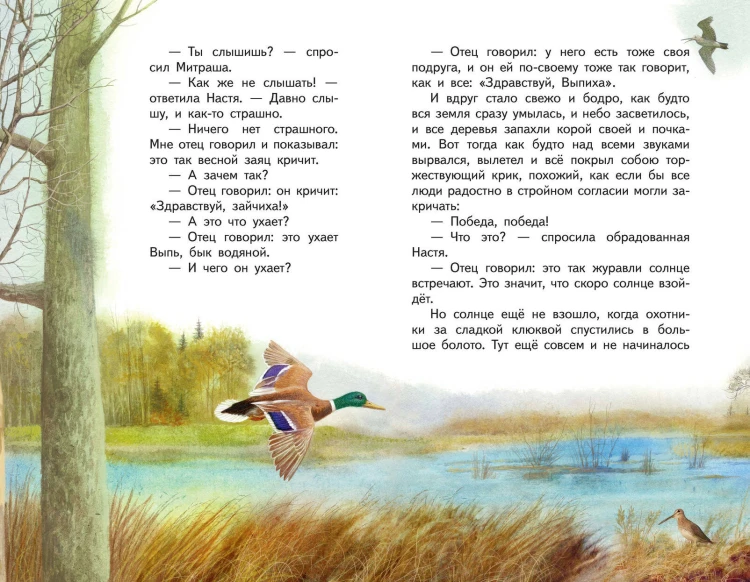 Кладовая солнца (ил. В. Дударенко)