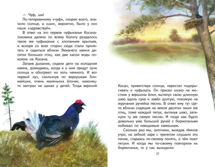 Кладовая солнца (ил. В. Дударенко)