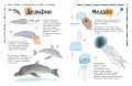 Животные. Фигурная лепка из глины (50 интересных моделей)