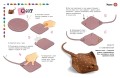 Животные. Фигурная лепка из глины (50 интересных моделей)