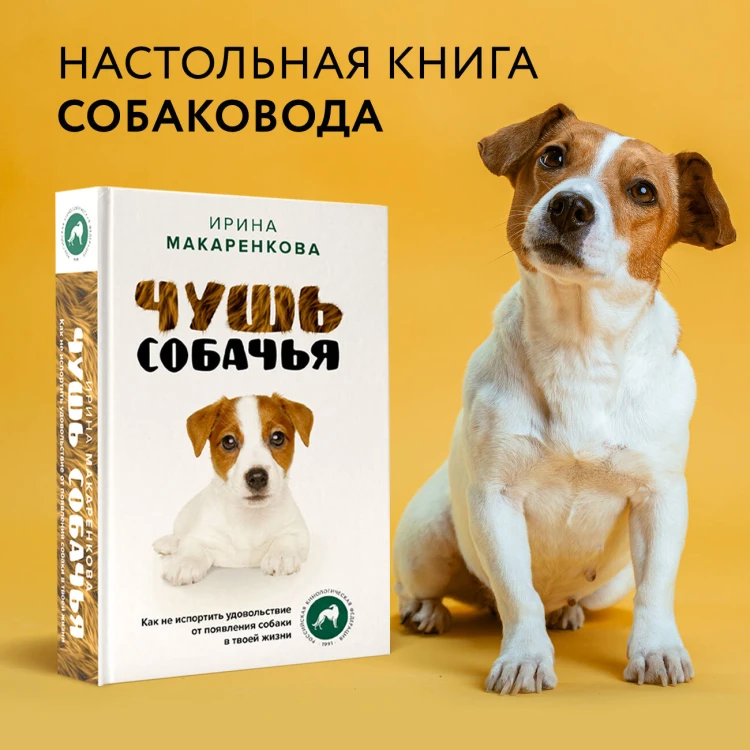 Чушь собачья. Как не испортить удовольствие от появления собаки в твоей жизни