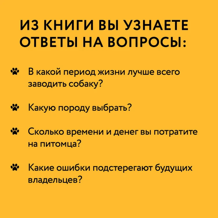 Чушь собачья. Как не испортить удовольствие от появления собаки в твоей жизни