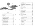 Тысяча шагов в ночи