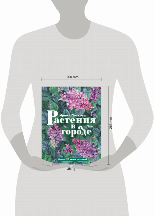 Растения в городе