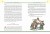 Хроники Нарнии. Начало истории
