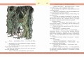 Хроники Нарнии. Начало истории