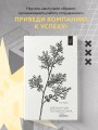 Элегантная головоломка. Системы инженерного менеджмента