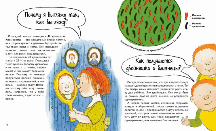 Откуда берутся дети?
