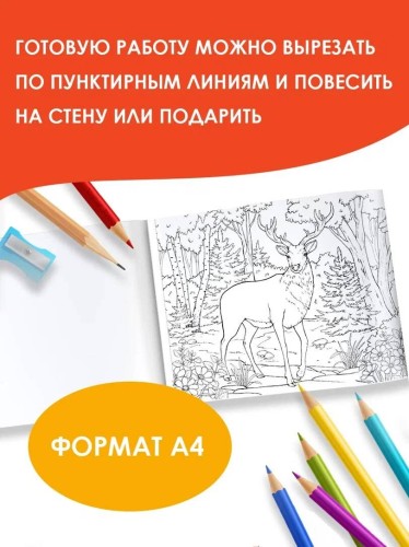 Мир вокруг