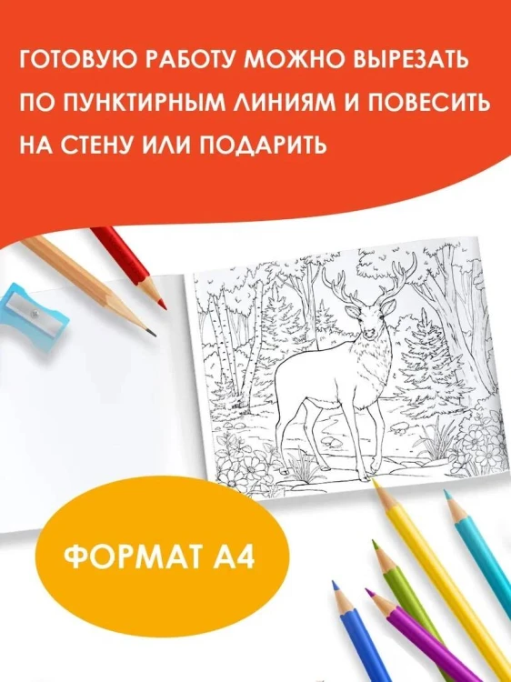 Мир вокруг