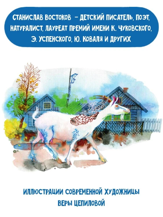 Кот в ведре. Рассказы о животных