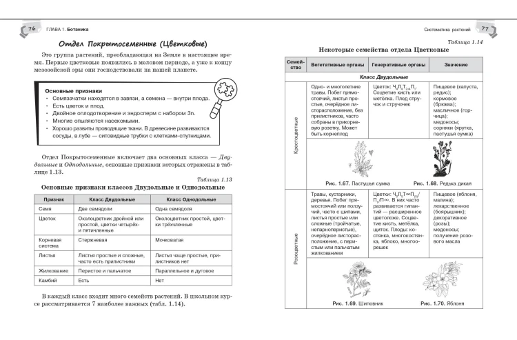 Справочник по биологии для 5-9 классов