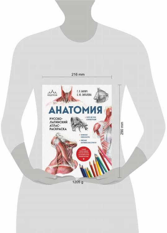 Анатомия: русско-латинский атлас-раскраска (новое оформление, новый формат)
