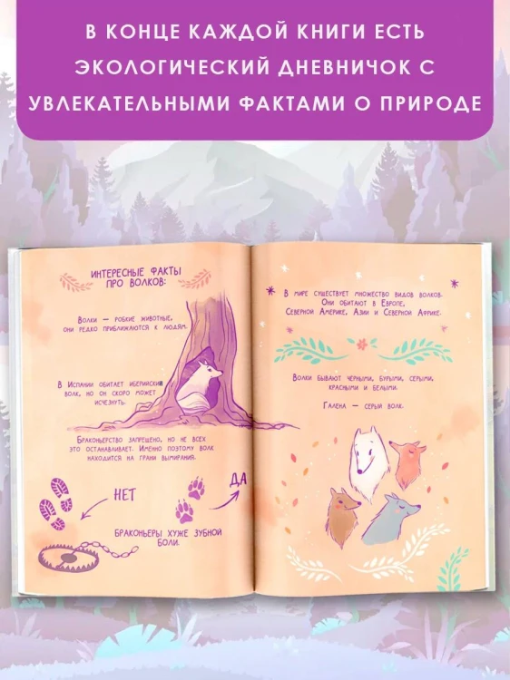 Ведьмочка Лили. Хранительница леса
