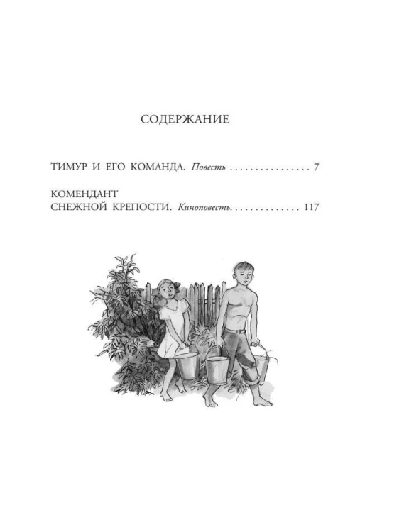 Тимур и его команда