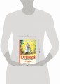 Сказки в картинках В. Сутеева